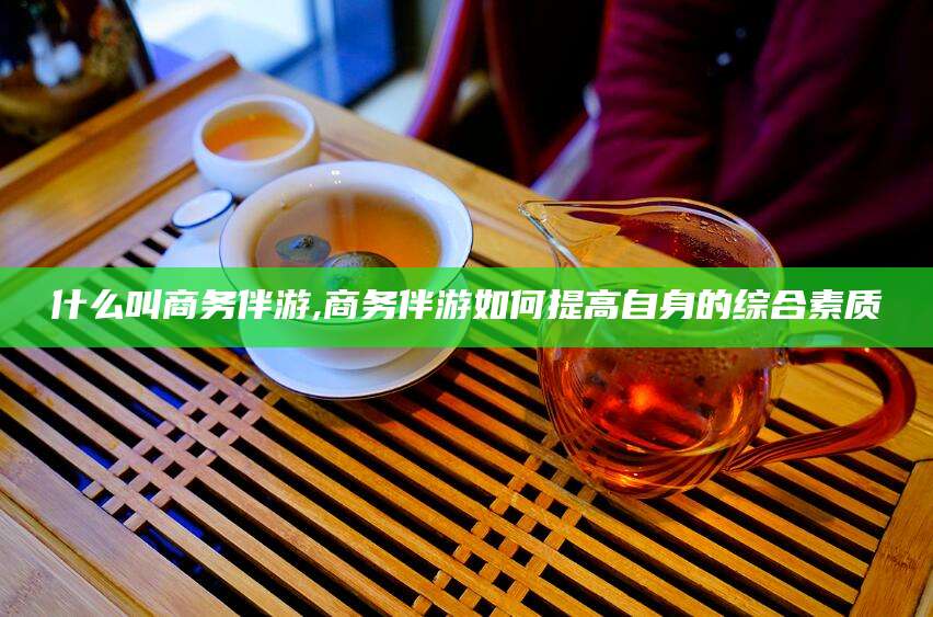 嘉善什么叫商务伴游,商务伴游如何提高自身的综合素质